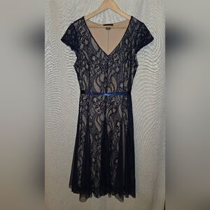 Elegant Navy Lace Dress